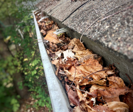 Gutter Cleaning